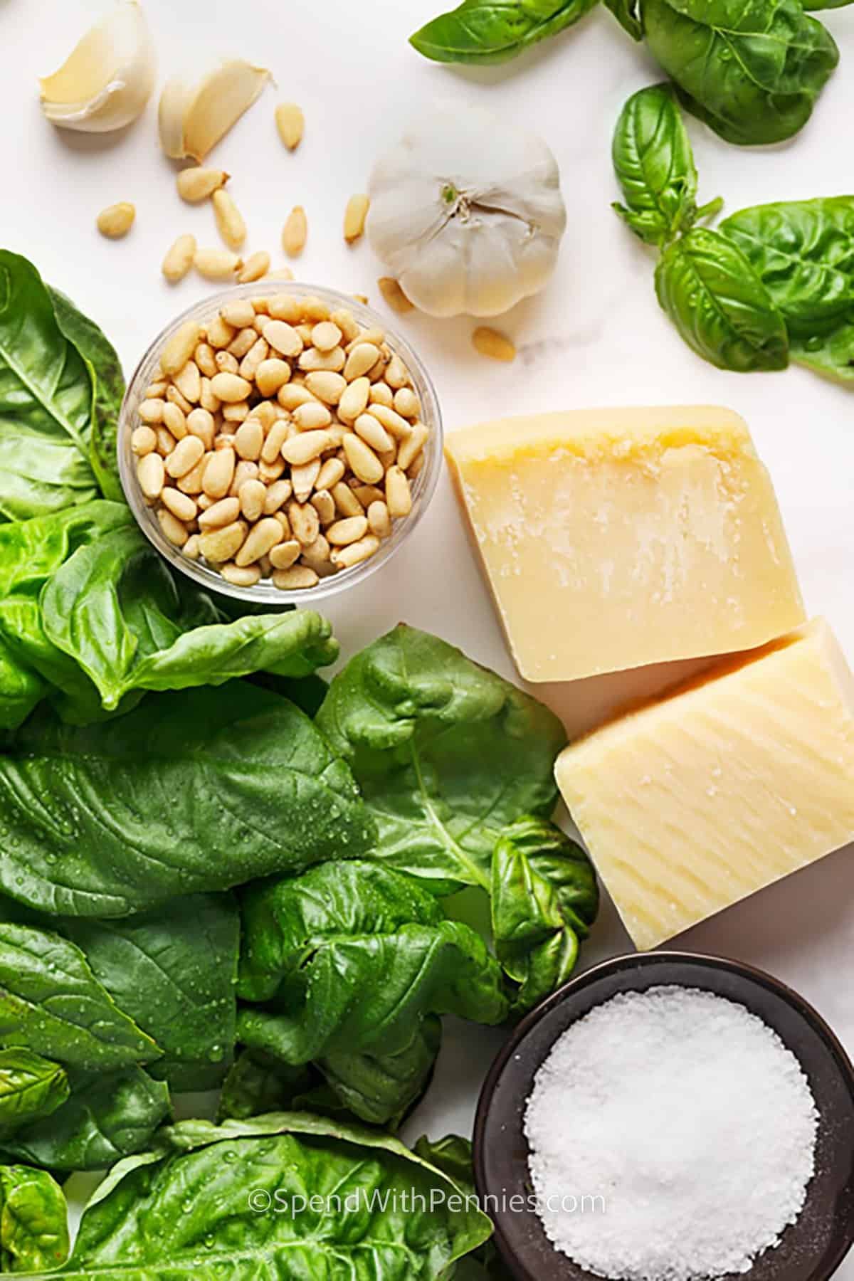 ingredients to make Easy Homemade Basil Pesto