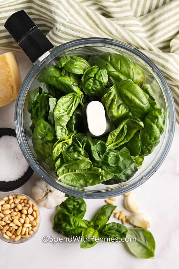 pesto ingredients in a food processor