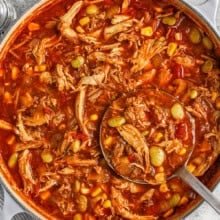 pot of Brunswick Stew with a laddle