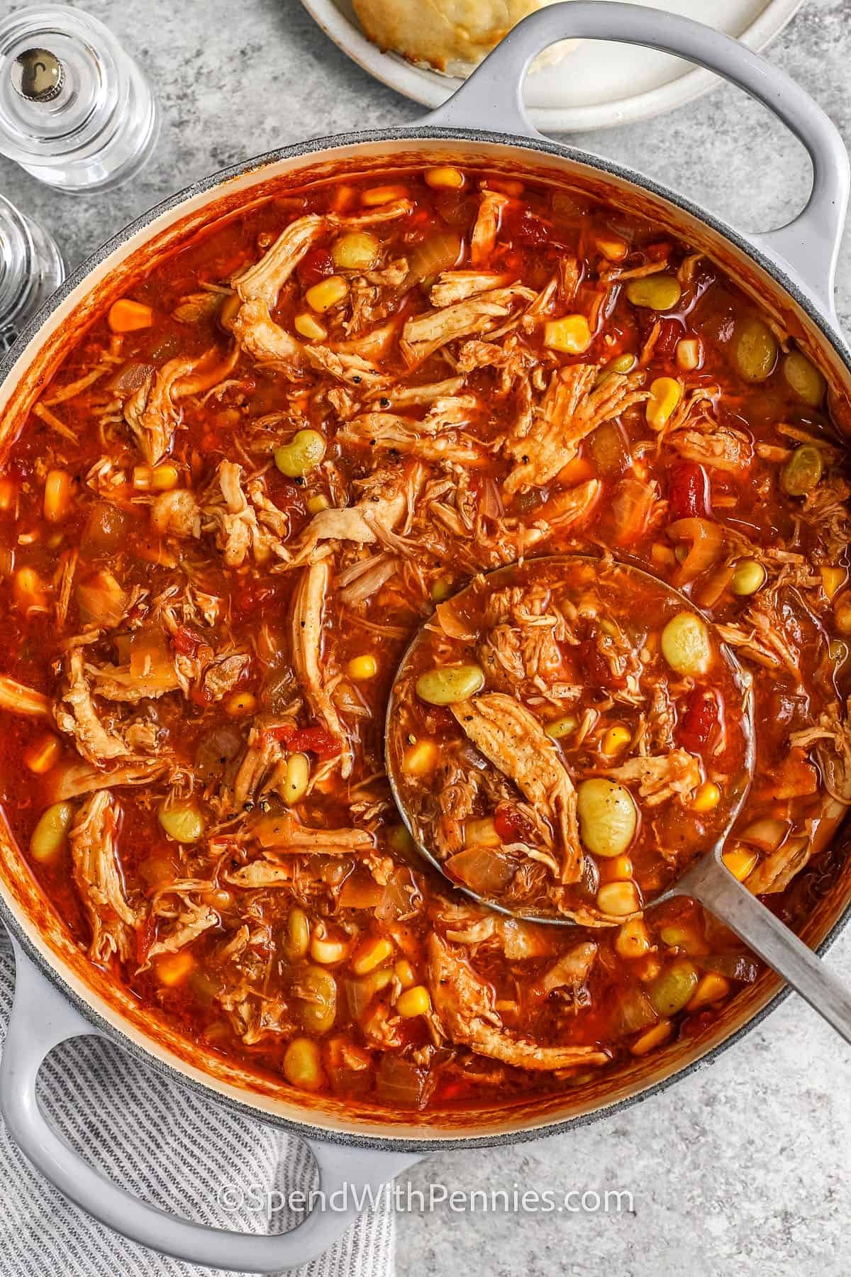 pot of Brunswick Stew with a laddle