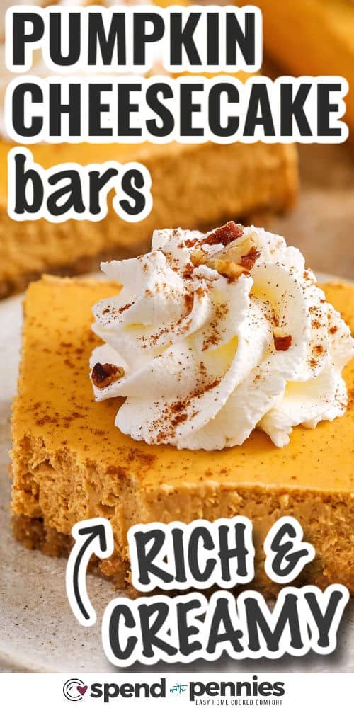 rich and creamy Pumpkin Cheesecake Bars with writing